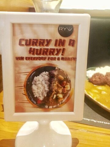 curryinahurry-9666096